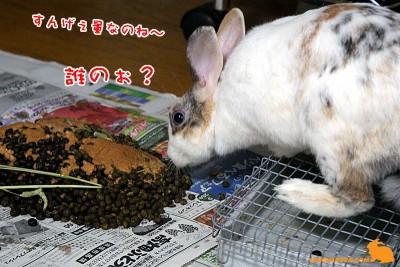 誰のぉ? 誰のぉ?