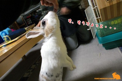 もう少し