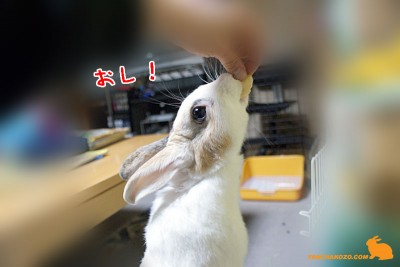おし！
