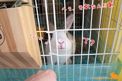 へぇ、そうなんだぁ　で？