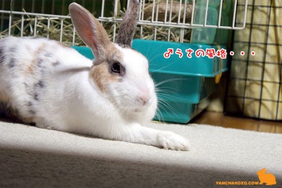 ♂の風格