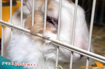 メリコミ具合がイイ