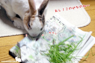 この辺・・・