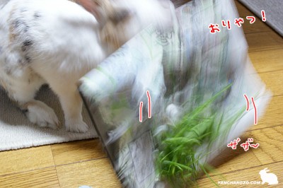 おりゃっと星一徹風に