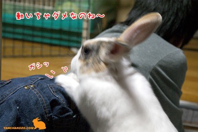動いちゃダメ~ 動いちゃダメ~