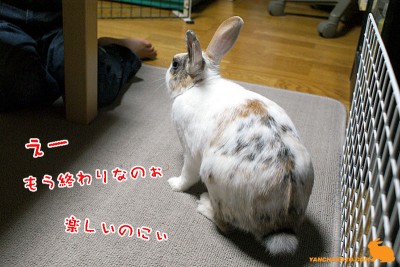 もう終わり? もう終わり?
