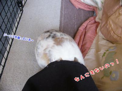 ぷりんエプロン