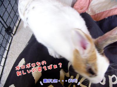 ぷりんエプロン03