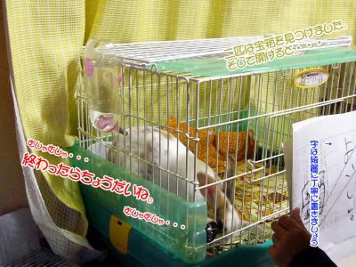 ぷりん紙芝居02