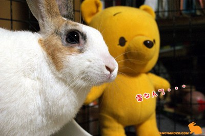 雷なんて・・・