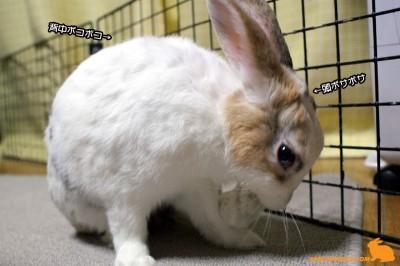 背中も頭もボコボコ