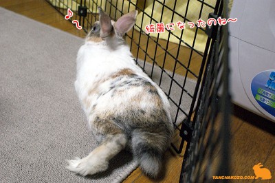 綺麗になった♪