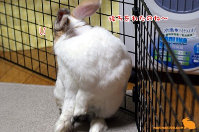 後ろを忘れてた