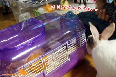 チミだったのね～