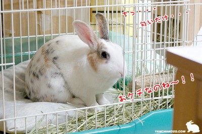 おケチ！