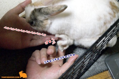 ぷりん足がパァ