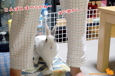 足から