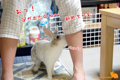 足舐め