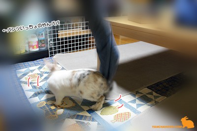 回るデニム