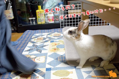 寒くねぇ?