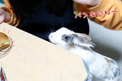 ぷりんパンを発見！