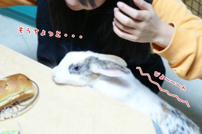 ぷりんもうちょっと・・・