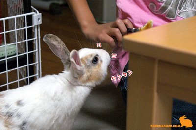 見っけ！