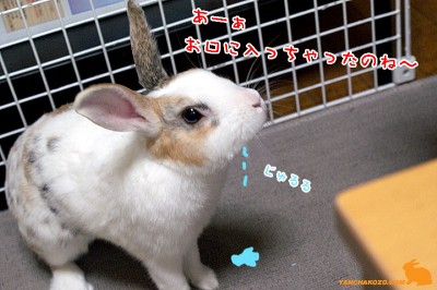 じゅるる