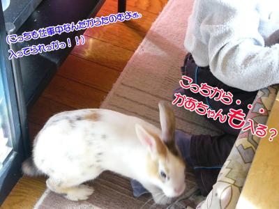 ぷりんこたつ02