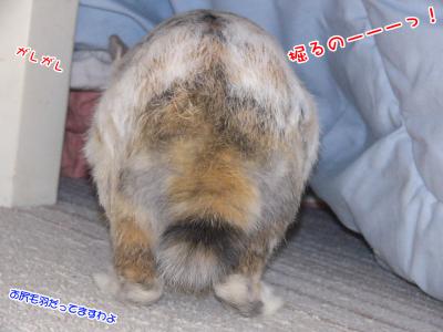 ぷりんこたつ中03