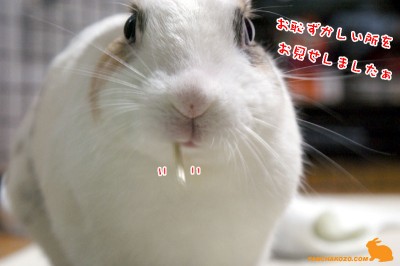 腹ごしらえ