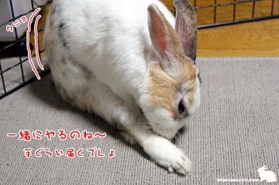 クニョってやるのね～