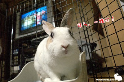 ほらっ