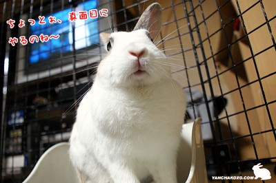 硬くなるのね～