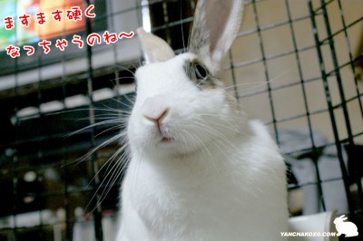 ますます・・・