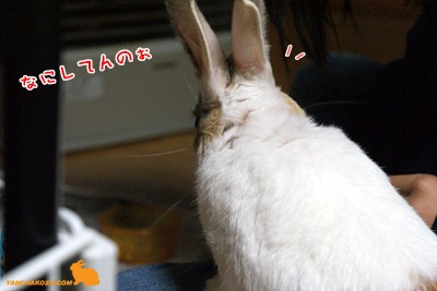 なにしてんのぉ なにしてんのぉ