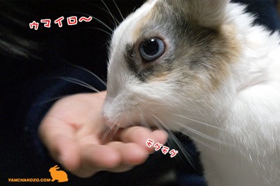 うっマイロ~ うっマイロ~