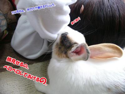 ぷりん＆ママ02