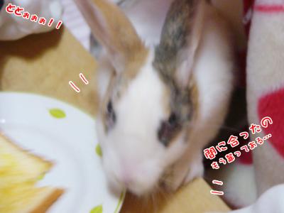 ぷりんパン食べる
