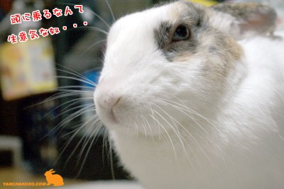 生意気な奴・・・