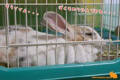 ぼくもめり込む