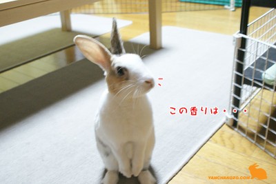 待ち切れないのね～