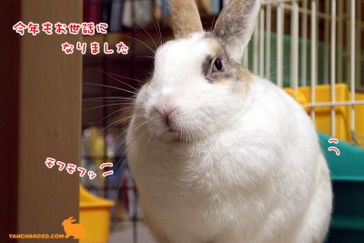 お世話になりました