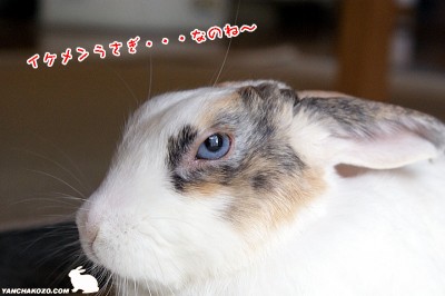 左目