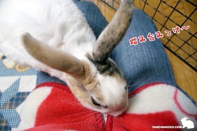 踏み台