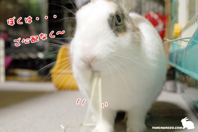 ぼくは・・・