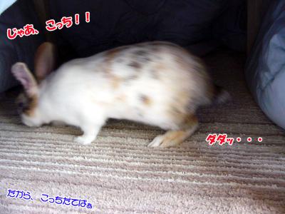 ぷりんこたつの中へ02