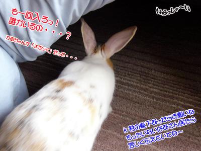 ぷりんこたつの中へ03