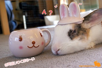 お耳あるのに・・・