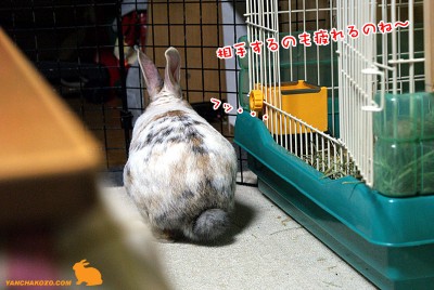 ぷりん相手すると疲れる